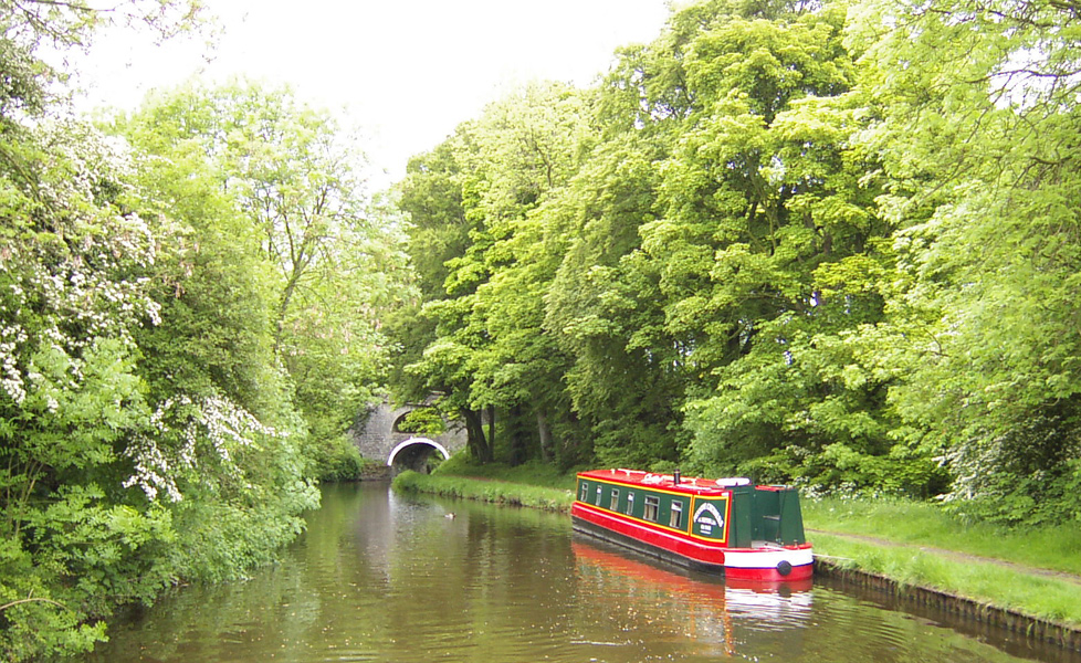 Forest Sceanery Along the Skipton Waterways