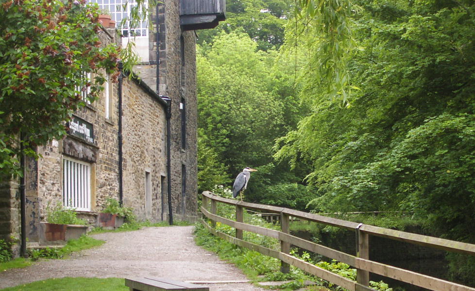 Heren Sat Above the Skipton Waterways