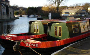 Rosie-and-Jim